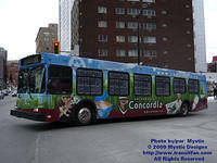 CON-110-021609-01.jpg