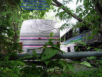 DUF-327-062109-02.jpg