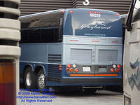 GH-86029-072509-01.jpg