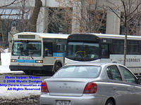 LQ-2510-031308-01.jpg