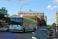ORX-5906-070509-02.jpg