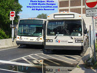 STJ-283C03-062308-01.jpg