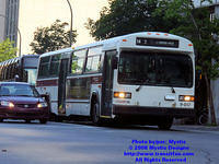 RTL-9017-062308-03.jpg