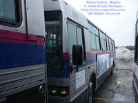 STL-5916-032909-01.jpg