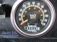 STL-5916-032909-02.jpg