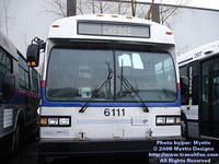 STL-6111-032909-01.jpg