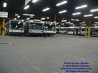 STL-GAR-032909-302.jpg