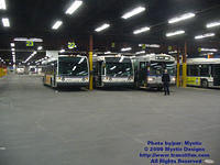 STL-GAR-032909-304.jpg