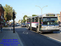 STL-6011-092408-01.jpg