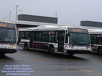 STL-0502-032909-02.jpg
