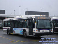 STL-0610-032909-01.jpg