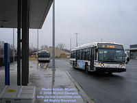 STL-0610-032909-03.jpg