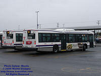 STL-0708-032909-01.jpg