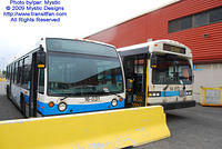 STM-16031-053109-02.jpg