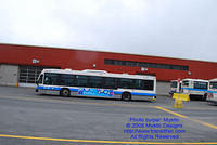 STM-22214-053109-02.jpg