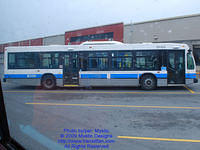 STM-23223-053109-01.jpg