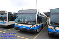 STM-24218-053109-01.jpg