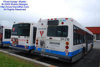 STM-24218-053109-03.jpg