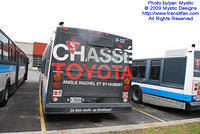 STM-24227-053109-03.jpg