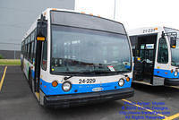 STM-24229-053109-01.jpg