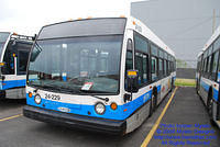 STM-24229-053109-02.jpg