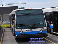 STM-16159-050210-01.jpg
