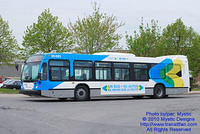 STM-30083-050210-02.jpg