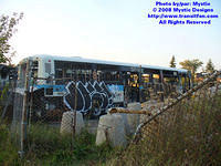 STM-11027-092408-03.jpg