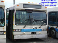 STM-11036-042608-01.jpg