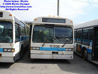 STM-11036-042608-02.jpg