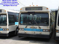 STM-11082-042608-01.jpg