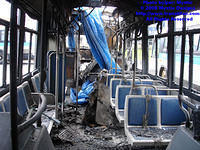 STM-17019-042608-04.jpg