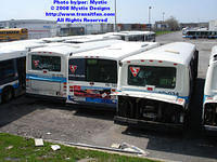 STM-60034-042608-02.jpg