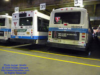 STM-15054-091309-01.jpg