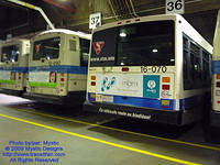 STM-16070-091309-01.jpg