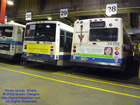 STM-24222-091309-01.jpg