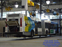 STM-29802-091309-04.jpg