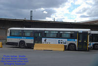 STM-11068-091309-02.jpg