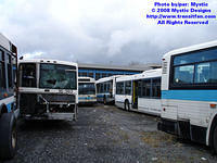 STM-YV-111008-15.jpg