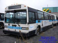 STM-14178-111008-01.jpg