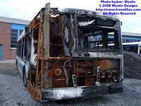 STM-17019-111008-01.jpg
