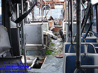 STM-17098-111008-03.jpg