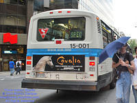STM-15001-081910-02