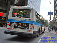 STM-15137-081910-02a
