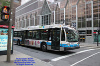 STM-24223-063011-01