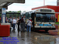 STM-11003-073108-02.jpg