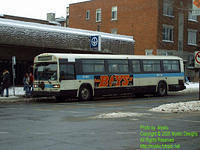 STM-11003-122805-01SP.jpg