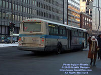 STM-11013-012009-03.jpg