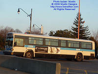 STM-11030-112309-01.jpg