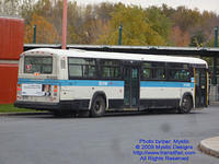 STM-11035-102609-03.jpg